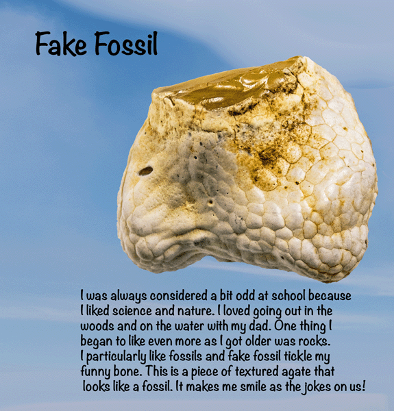 fake fossil