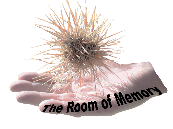 hand and
                memory